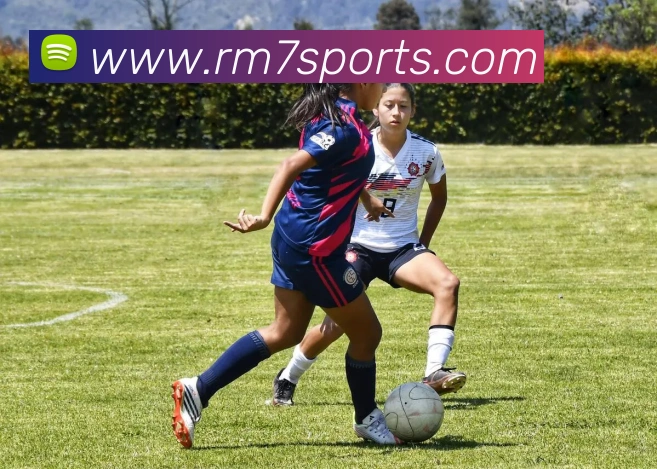 球赛投注APP 体育赛事宣传图